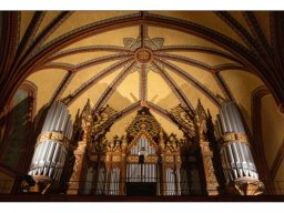 Christel Trica "Sauerorgel Lutherkirche Apolda"